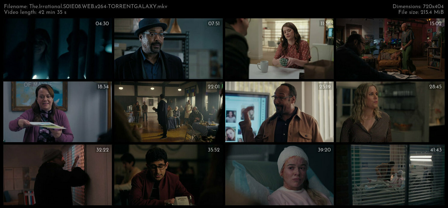 The Irrational S01E08 WEB x264 TORRENTGALAXY