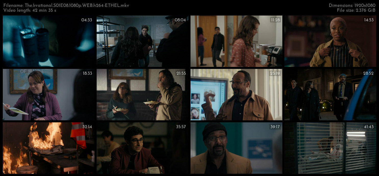 The Irrational S01E08 1080p WEB h264 ETHEL TGx