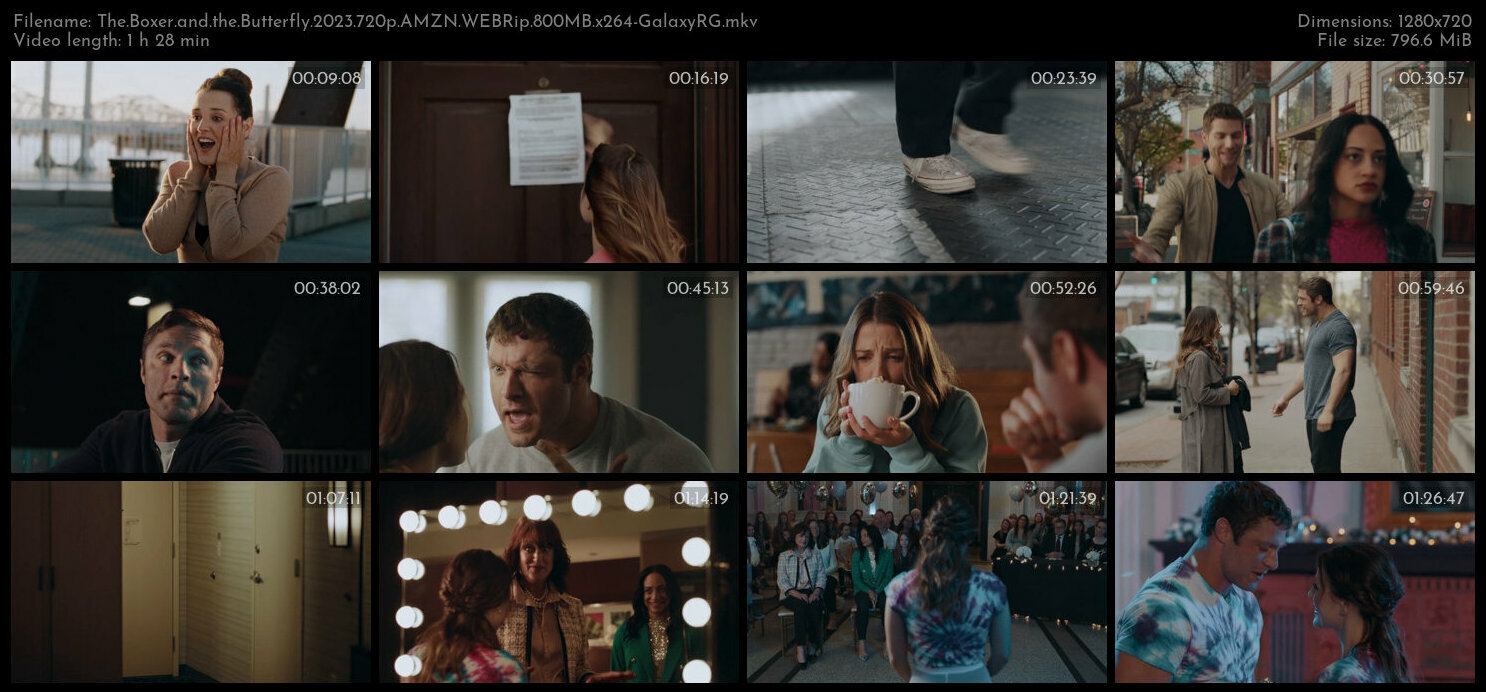 The Boxer and the Butterfly 2023 720p AMZN WEBRip 800MB x264 GalaxyRG