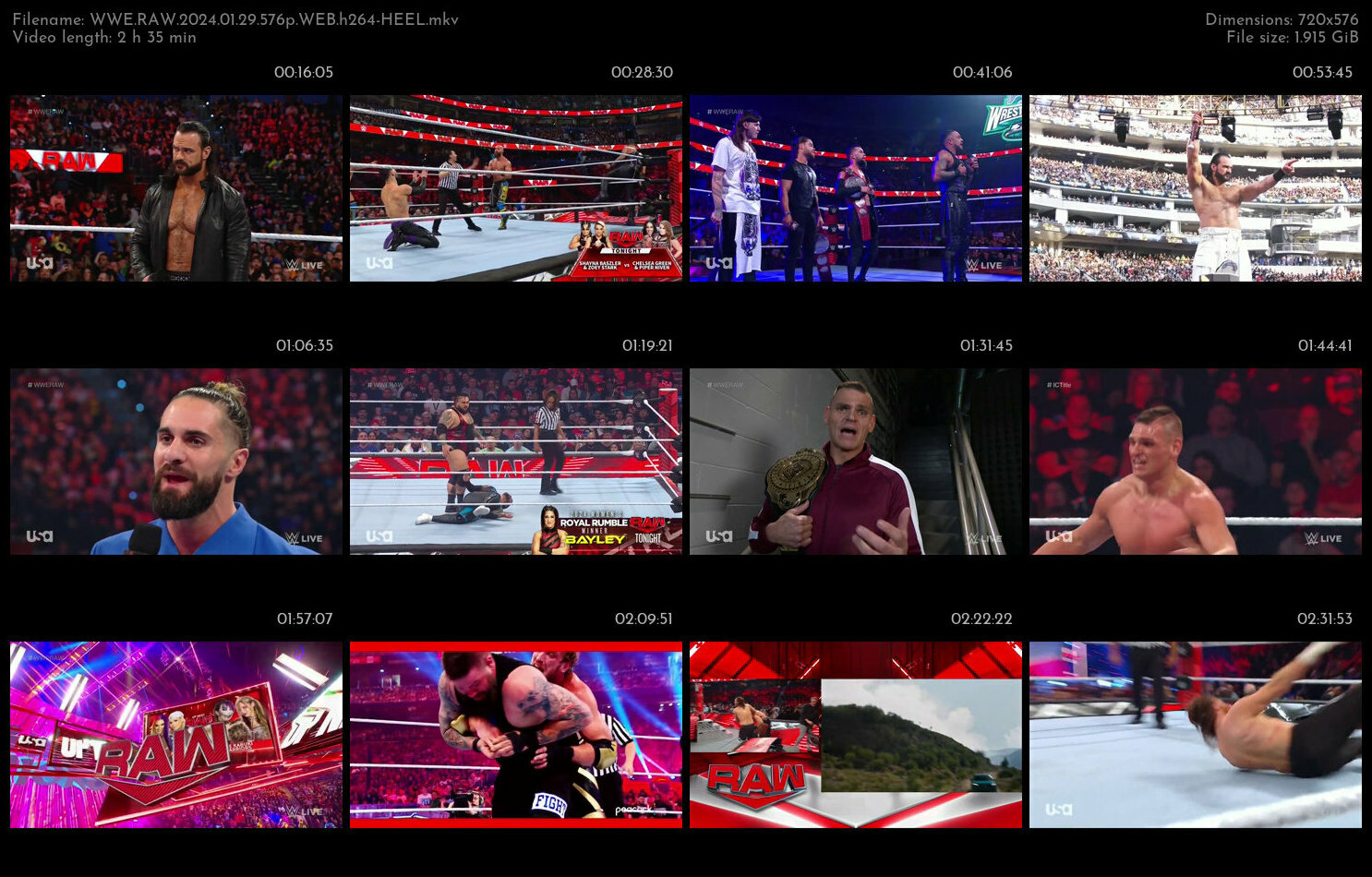 WWE RAW 2024 01 29 576p WEB h264 HEEL TGx