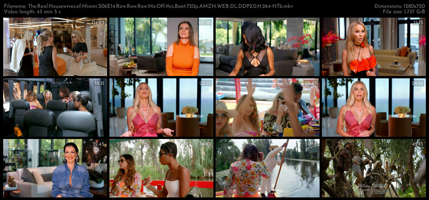 The Real Housewives of Miami S06E14 Row Row Row Me Off this Boat 720p AMZN WEB DL DDP2 0 H 264 NTb T