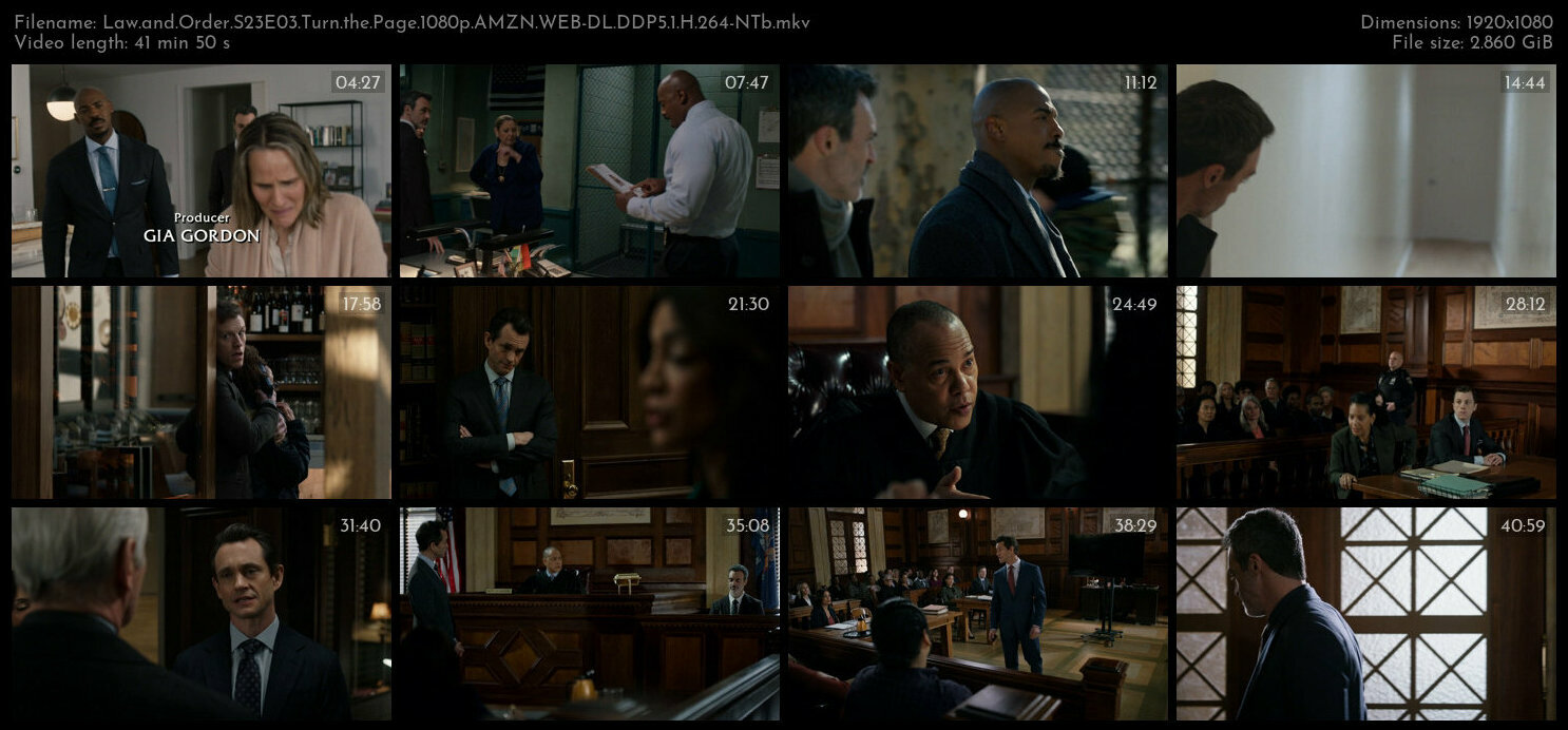 Law and Order S23E03 Turn the Page 1080p AMZN WEB DL DDP5 1 H 264 NTb TGx