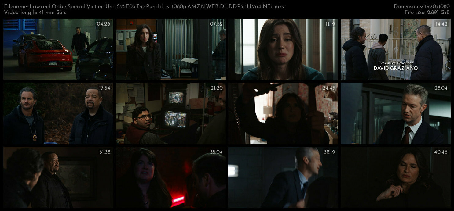 Law and Order Special Victims Unit S25E03 The Punch List 1080p AMZN WEB DL DDP5 1 H 264 NTb TGx