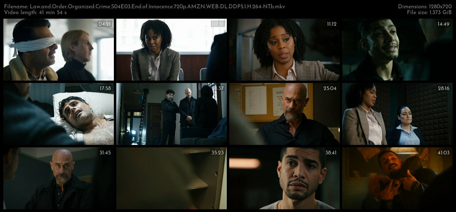 Law and Order Organized Crime S04E03 End of Innocence 720p AMZN WEB DL DDP5 1 H 264 NTb TGx
