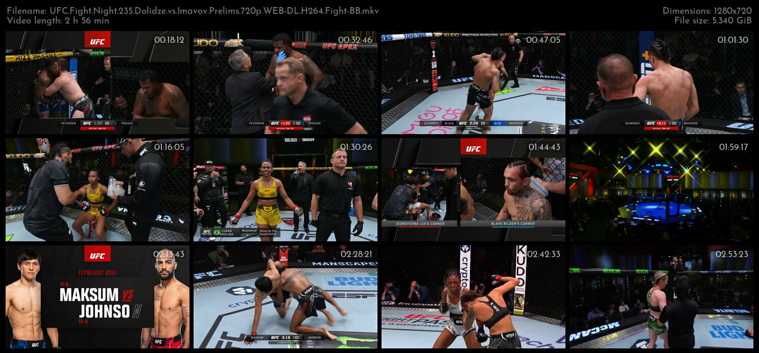 UFC Fight Night 235 Dolidze vs Imavov Prelims 720p WEB DL H264 Fight BB