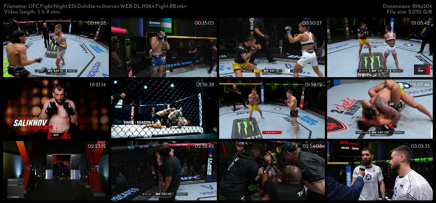 UFC Fight Night 235 Dolidze vs Imavov WEB DL H264 Fight BB