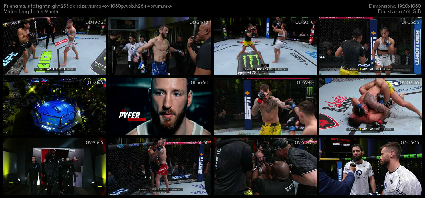 UFC Fight Night 235 Dolidze vs Imavov 1080p WEB h264 VERUM TGx