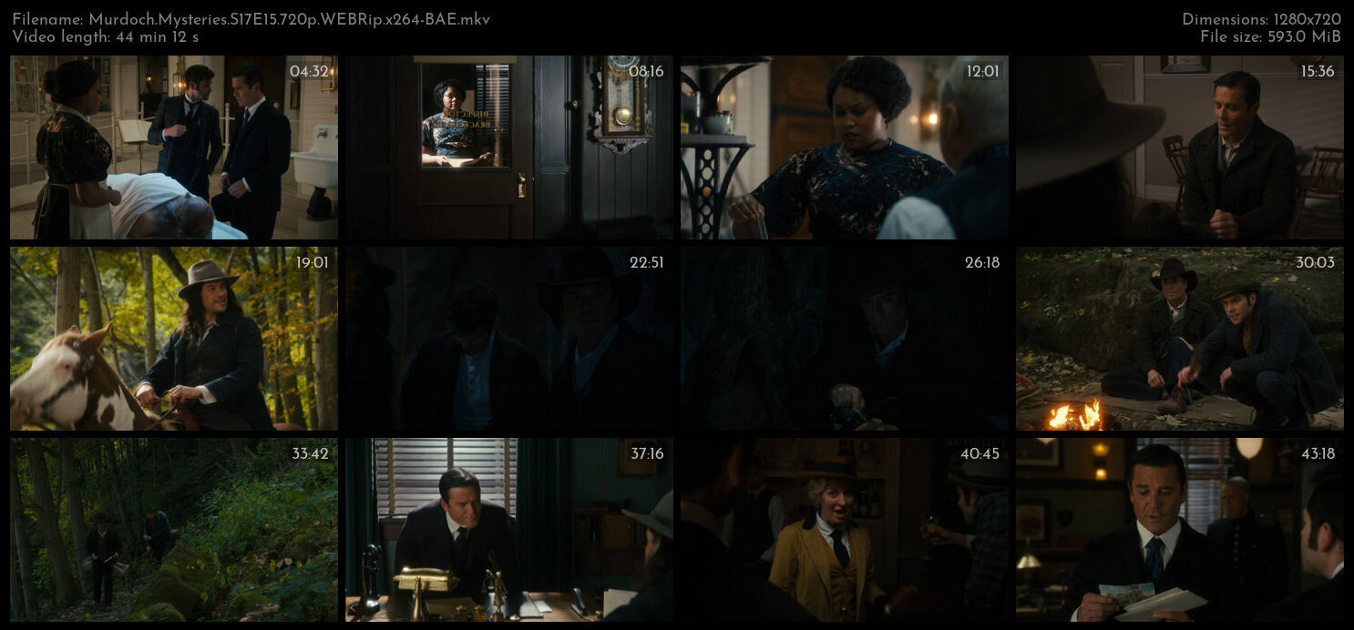 Murdoch Mysteries S17E15 720p WEBRip x264 BAE TGx