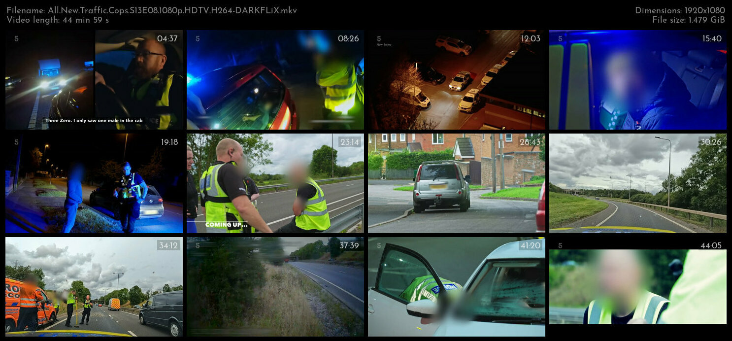 All New Traffic Cops S13E08 1080p HDTV H264 DARKFLiX TGx
