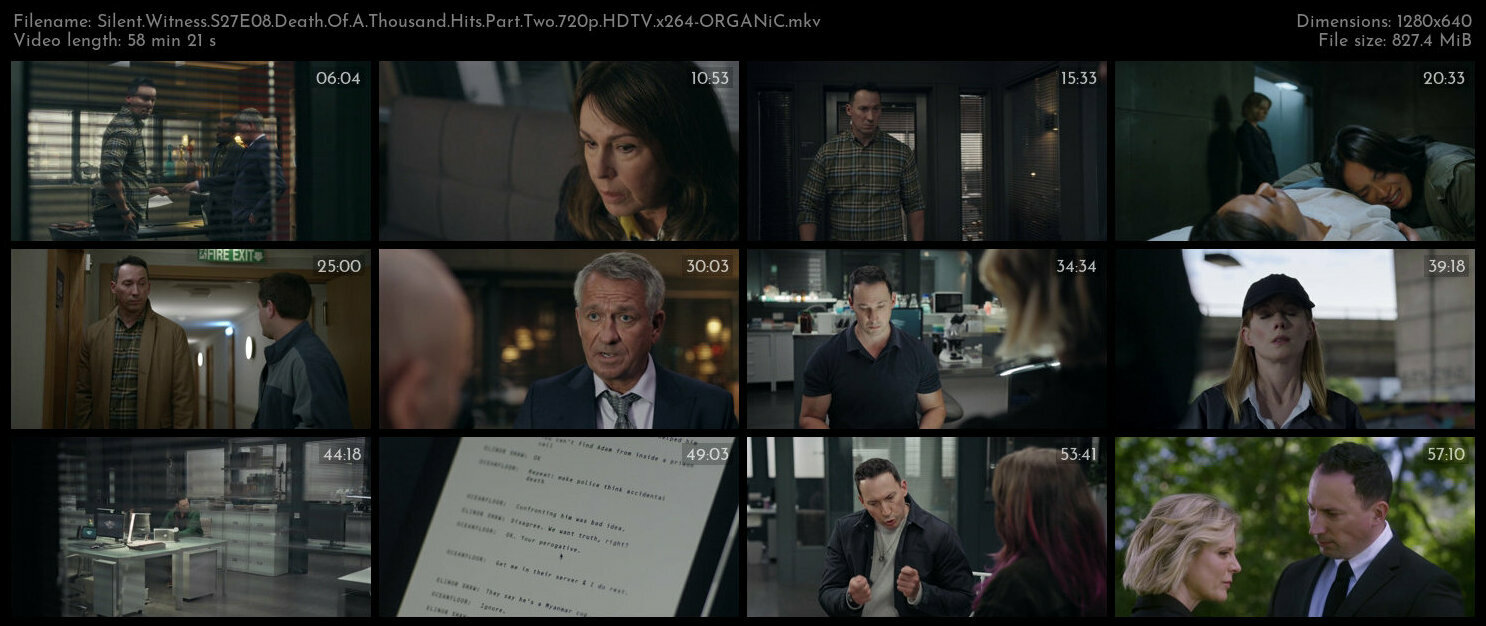 Silent Witness S27E08 Death Of A Thousand Hits Part Two 720p HDTV x264 ORGANiC TGx