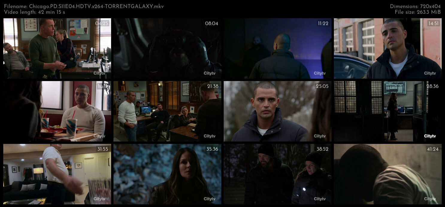 Chicago PD S11E04 HDTV x264 TORRENTGALAXY