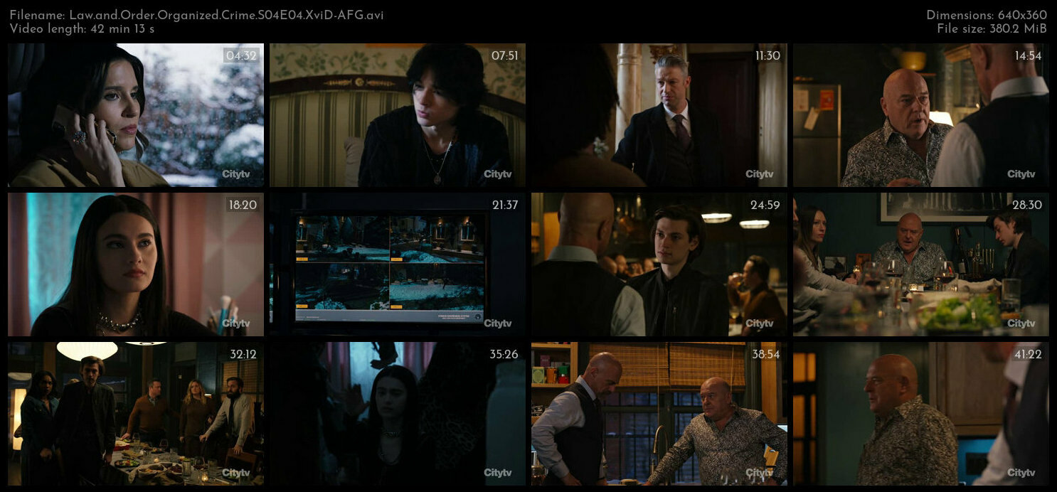Law and Order Organized Crime S04E04 XviD AFG TGx