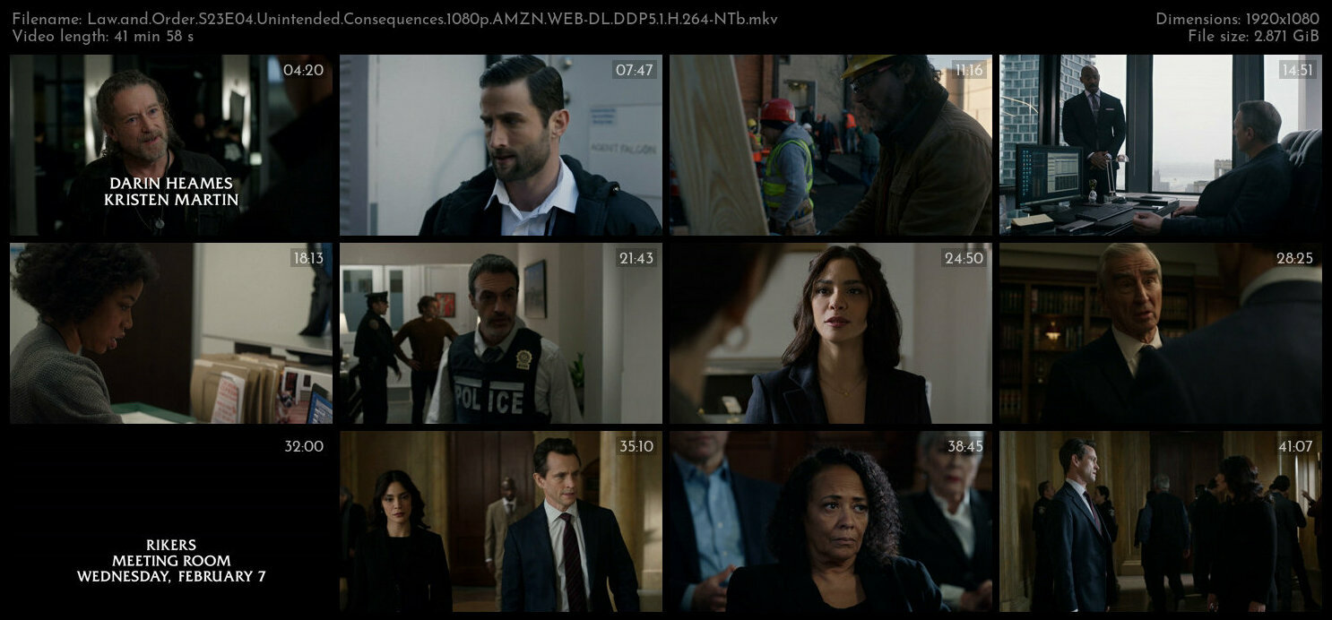 Law and Order S23E04 Unintended Consequences 1080p AMZN WEB DL DDP5 1 H 264 NTb TGx