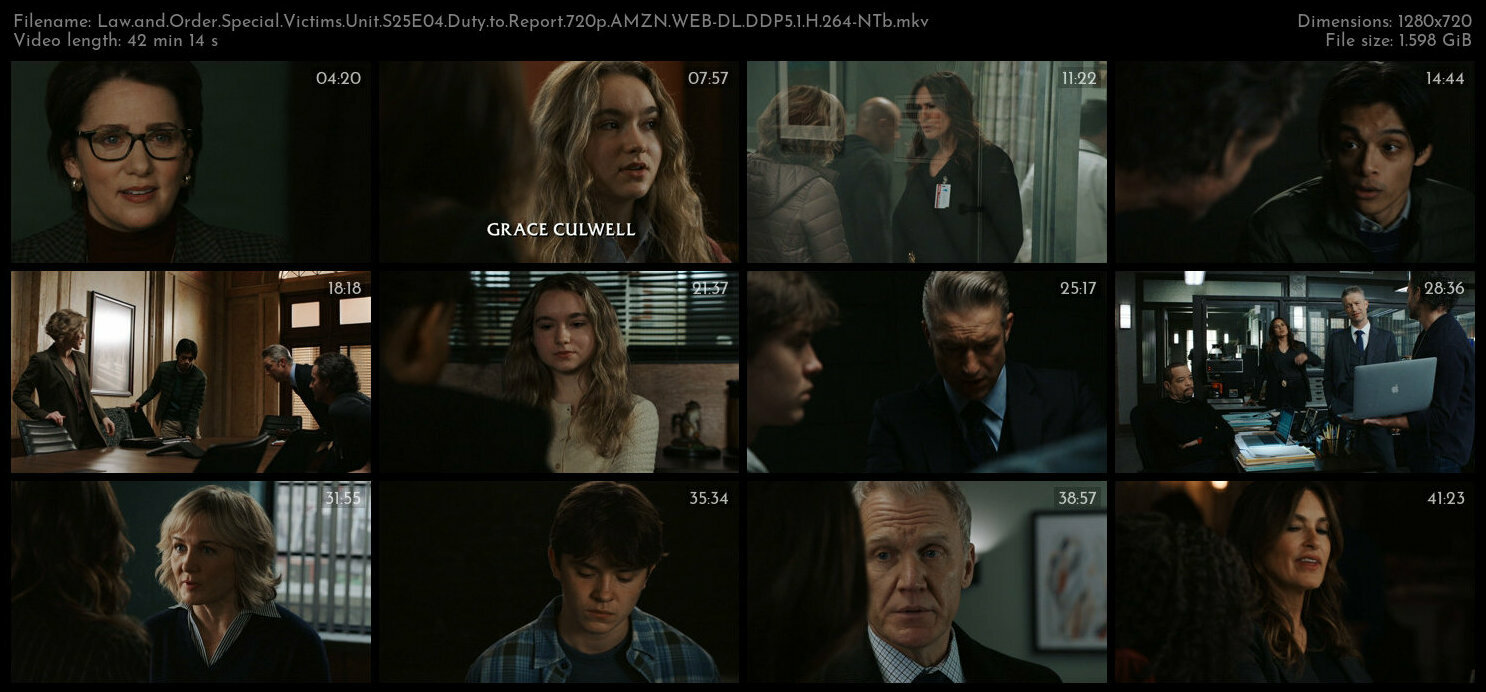 Law and Order Special Victims Unit S25E04 Duty to Report 720p AMZN WEB DL DDP5 1 H 264 NTb TGx