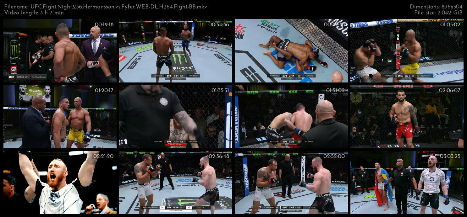 UFC Fight Night 236 Hermansson vs Pyfer WEB DL H264 Fight BB