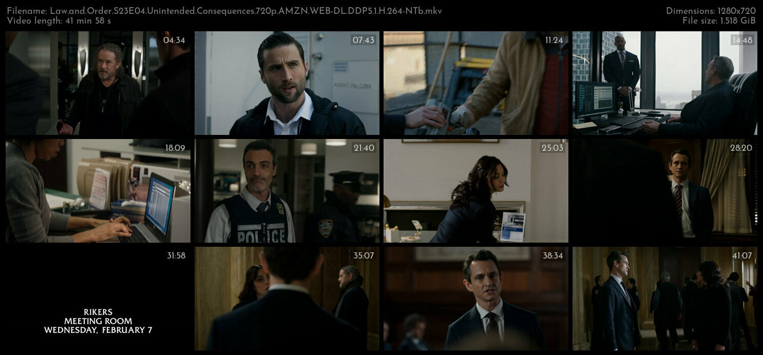 Law and Order S23E04 Unintended Consequences 720p AMZN WEB DL DDP5 1 H 264 NTb TGx