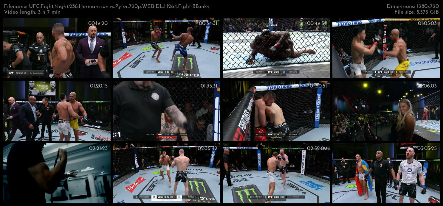 UFC Fight Night 236 Hermansson vs Pyfer 720p WEB DL H264 Fight BB