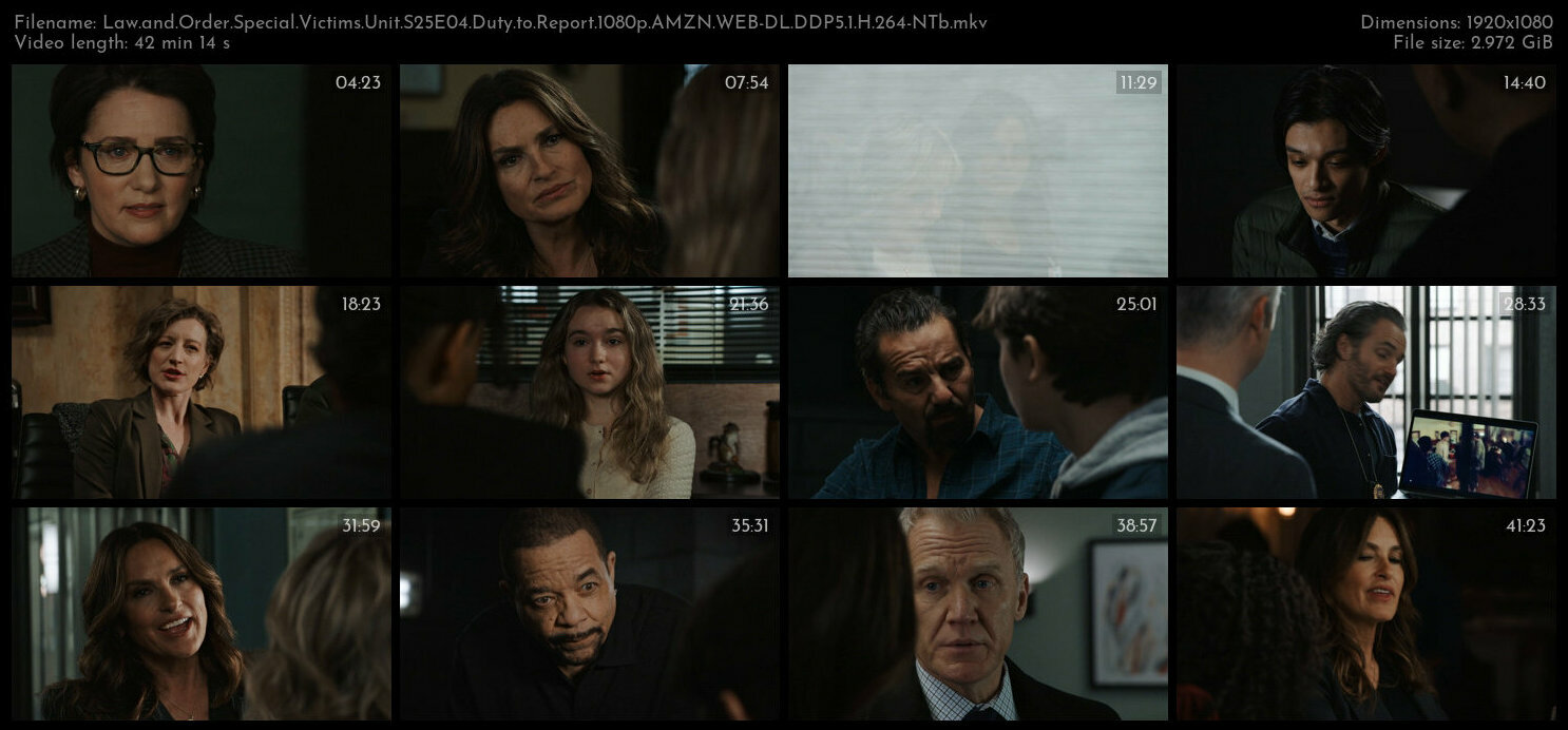 Law and Order Special Victims Unit S25E04 Duty to Report 1080p AMZN WEB DL DDP5 1 H 264 NTb TGx