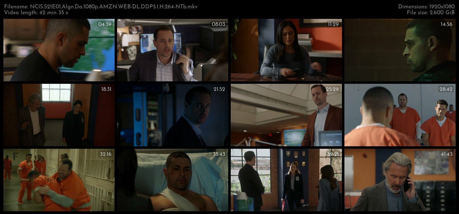 NCIS S21E01 Algn Da 1080p AMZN WEB DL DDP5 1 H 264 NTb TGx