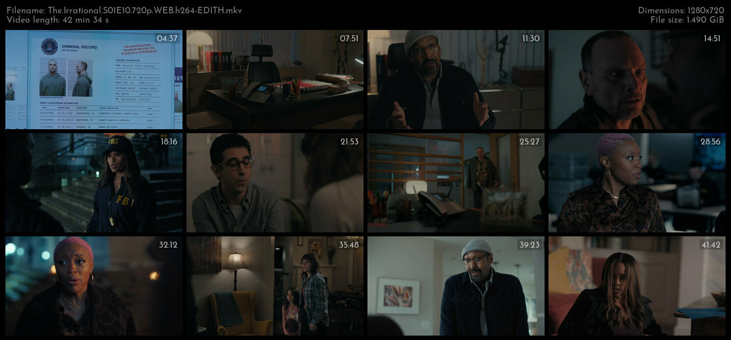 The Irrational S01E10 720p WEB h264 EDITH TGx