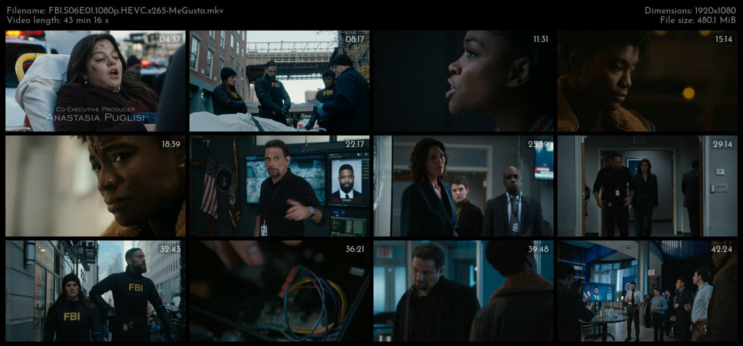 FBI S06E01 1080p HEVC x265 MeGusta TGx