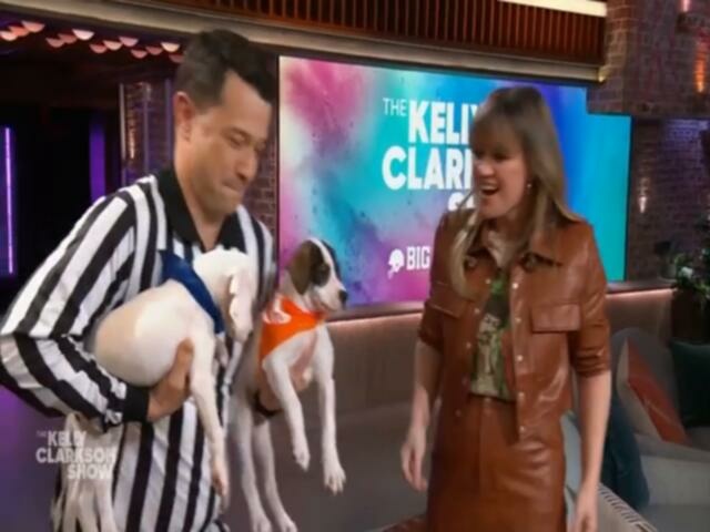 The Kelly Clarkson Show 2024 02 06 Kathryn Newton 480p x264 mSD TGx
