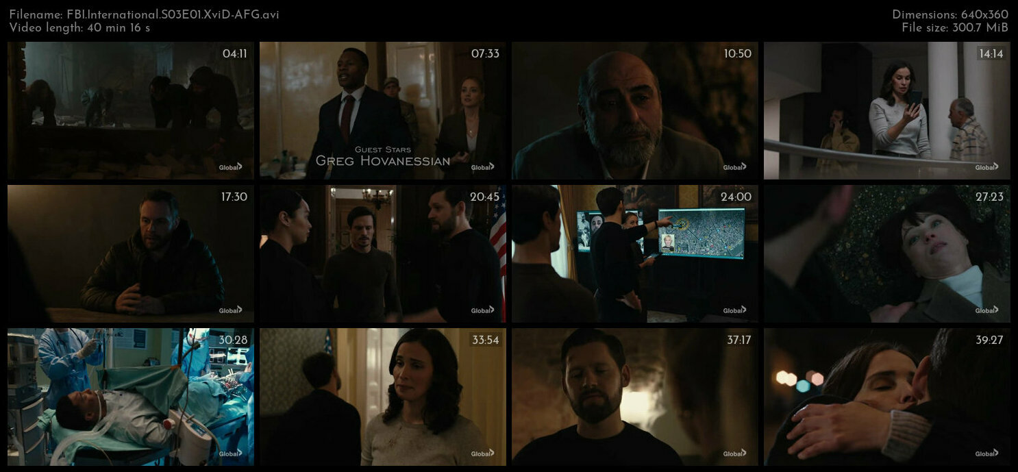 FBI International S03E01 XviD AFG TGx