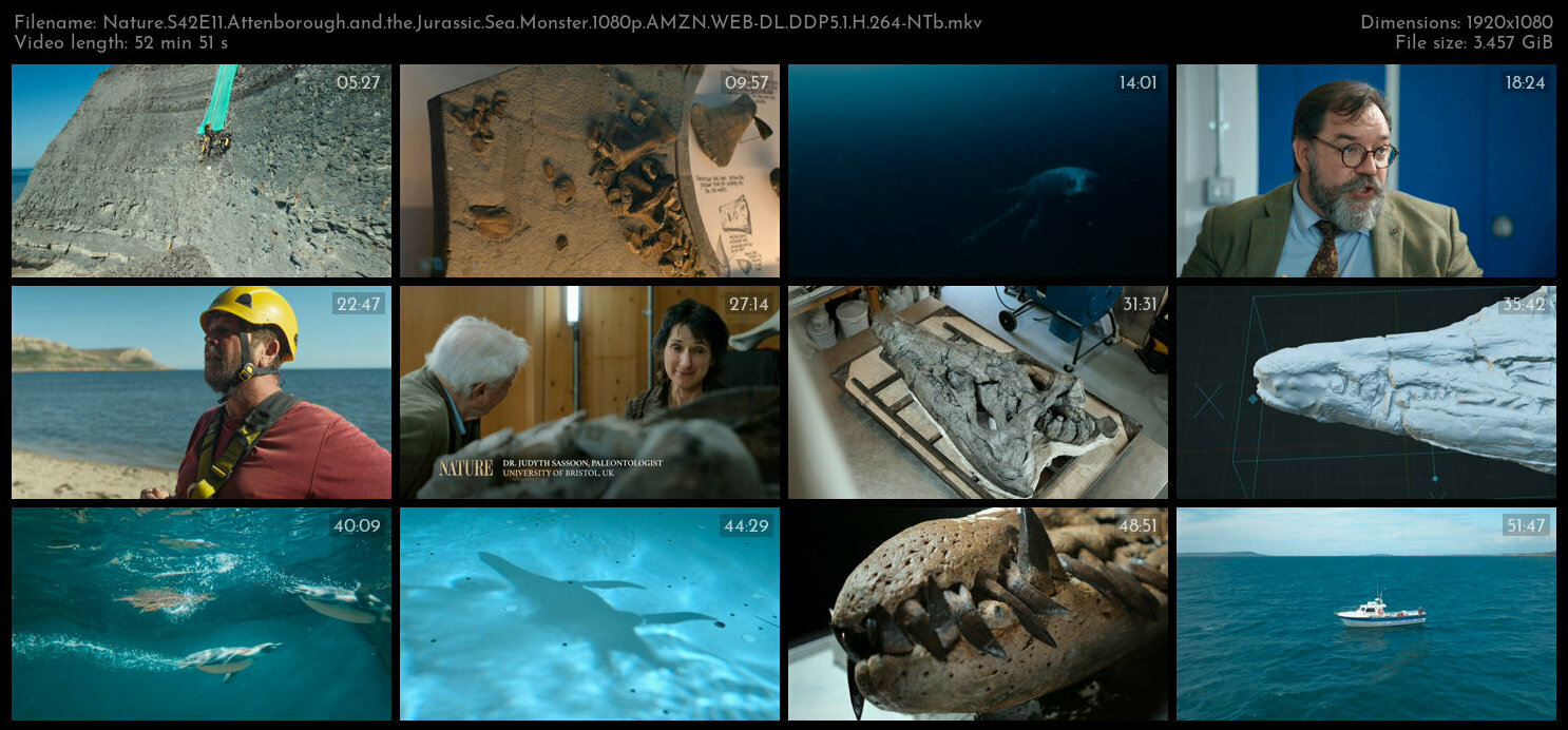 Nature S42E11 Attenborough and the Jurassic Sea Monster 1080p AMZN WEB DL DDP5 1 H 264 NTb TGx