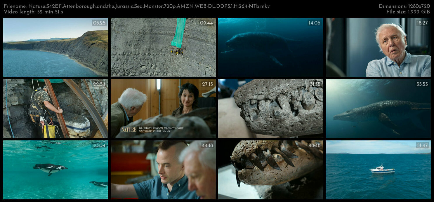 Nature S42E11 Attenborough and the Jurassic Sea Monster 720p AMZN WEB DL DDP5 1 H 264 NTb TGx