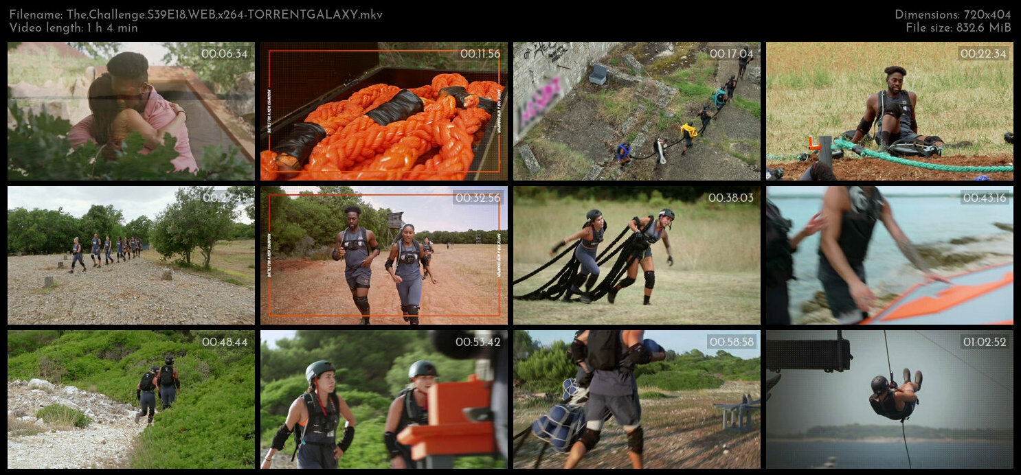 The Challenge S39E18 WEB x264 TORRENTGALAXY