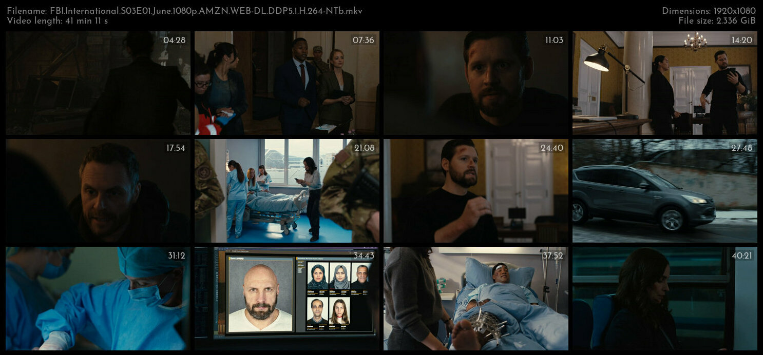 FBI International S03E01 June 1080p AMZN WEB DL DDP5 1 H 264 NTb TGx