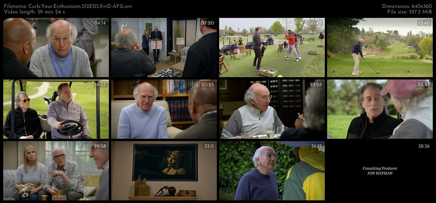 Curb Your Enthusiasm S12E03 XviD AFG TGx