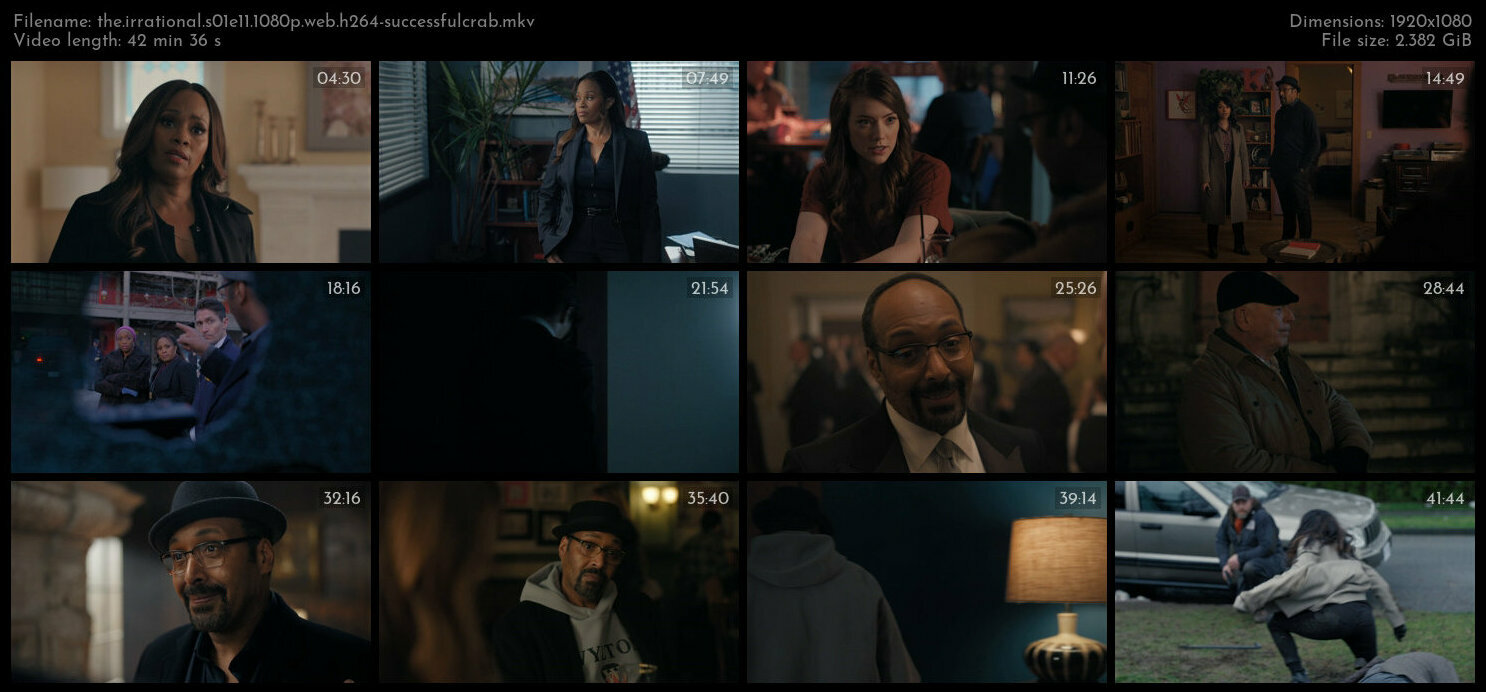 The Irrational S01E11 1080p WEB H264 SuccessfulCrab TGx