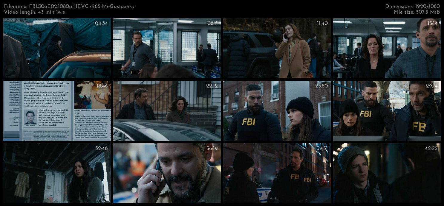 FBI S06E02 1080p HEVC x265 MeGusta TGx