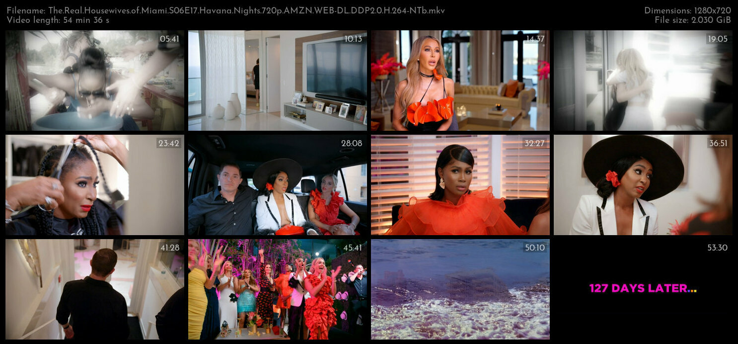 The Real Housewives of Miami S06E17 Havana Nights 720p AMZN WEB DL DDP2 0 H 264 NTb TGx