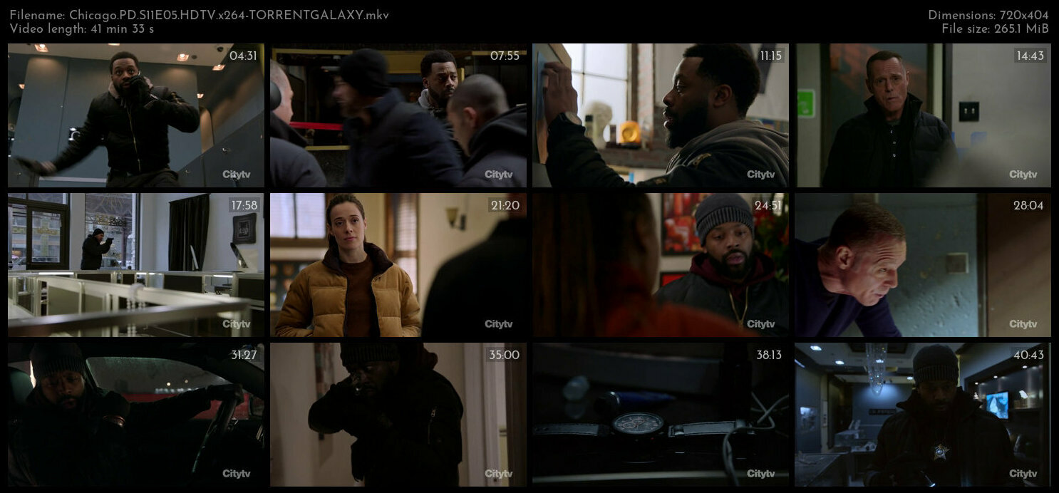 Chicago PD S11E05 HDTV x264 TORRENTGALAXY