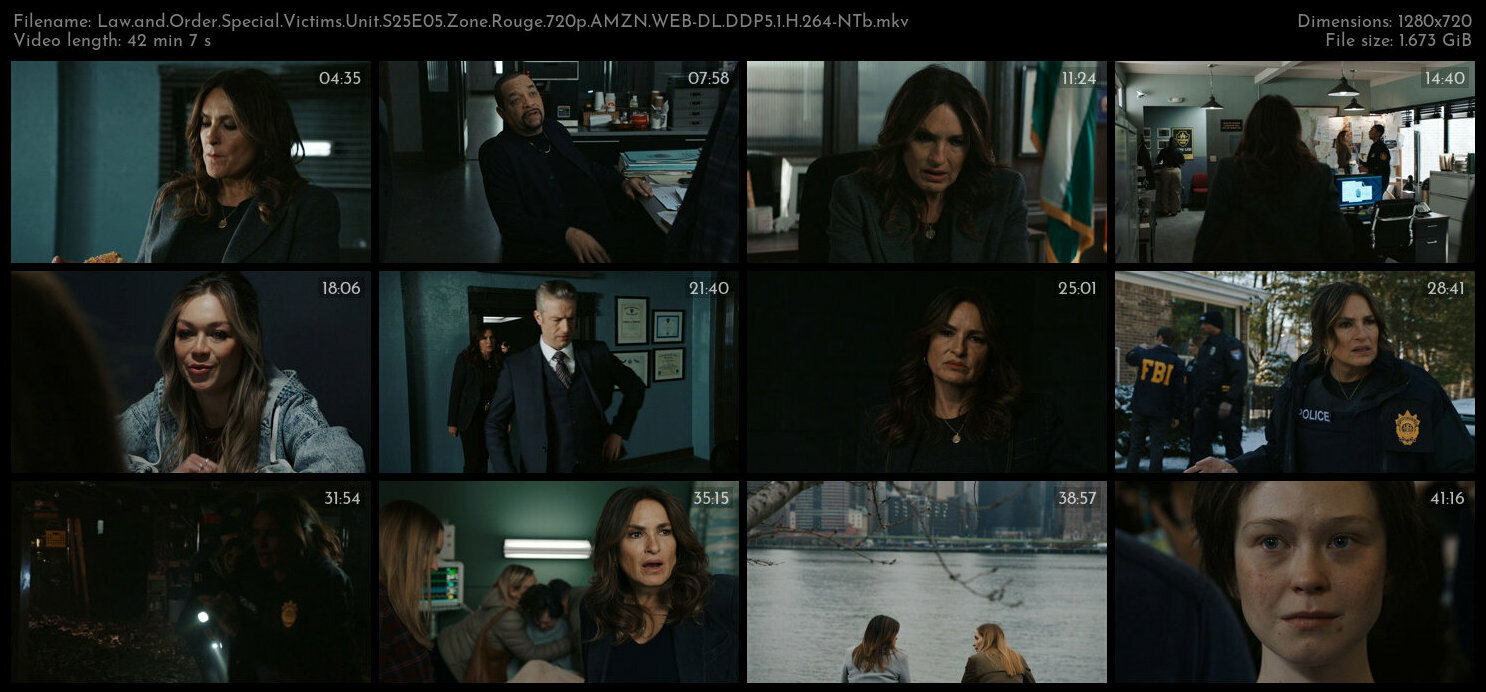 Law and Order Special Victims Unit S25E05 Zone Rouge 720p AMZN WEB DL DDP5 1 H 264 NTb TGx
