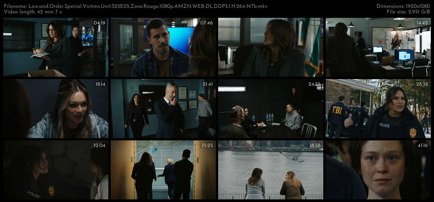 Law and Order Special Victims Unit S25E05 Zone Rouge 1080p AMZN WEB DL DDP5 1 H 264 NTb TGx