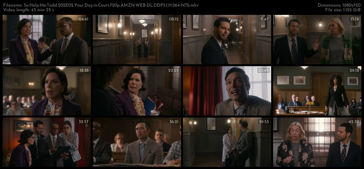 So Help Me Todd S02E02 Your Day in Court 720p AMZN WEB DL DDP5 1 H 264 NTb TGx