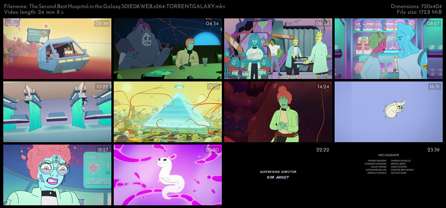 The Second Best Hospital in the Galaxy S01E08 WEB x264 TORRENTGALAXY