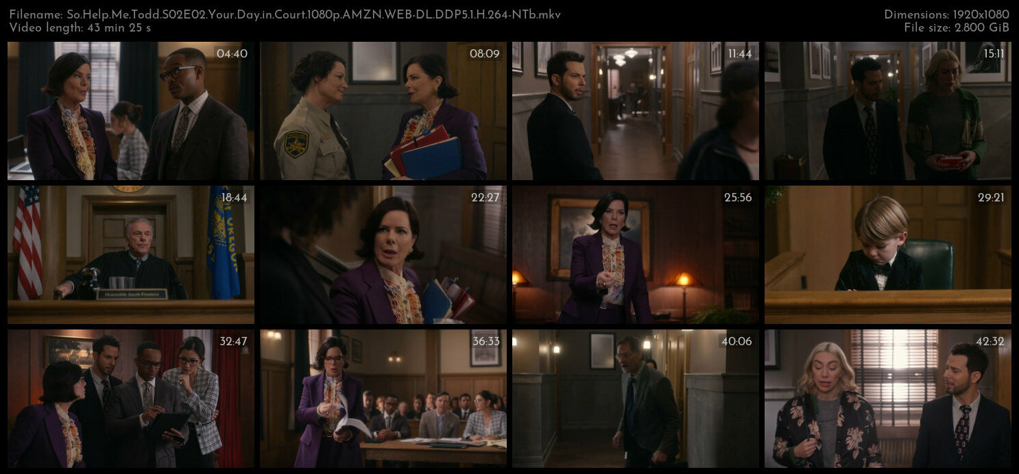 So Help Me Todd S02E02 Your Day in Court 1080p AMZN WEB DL DDP5 1 H 264 NTb TGx