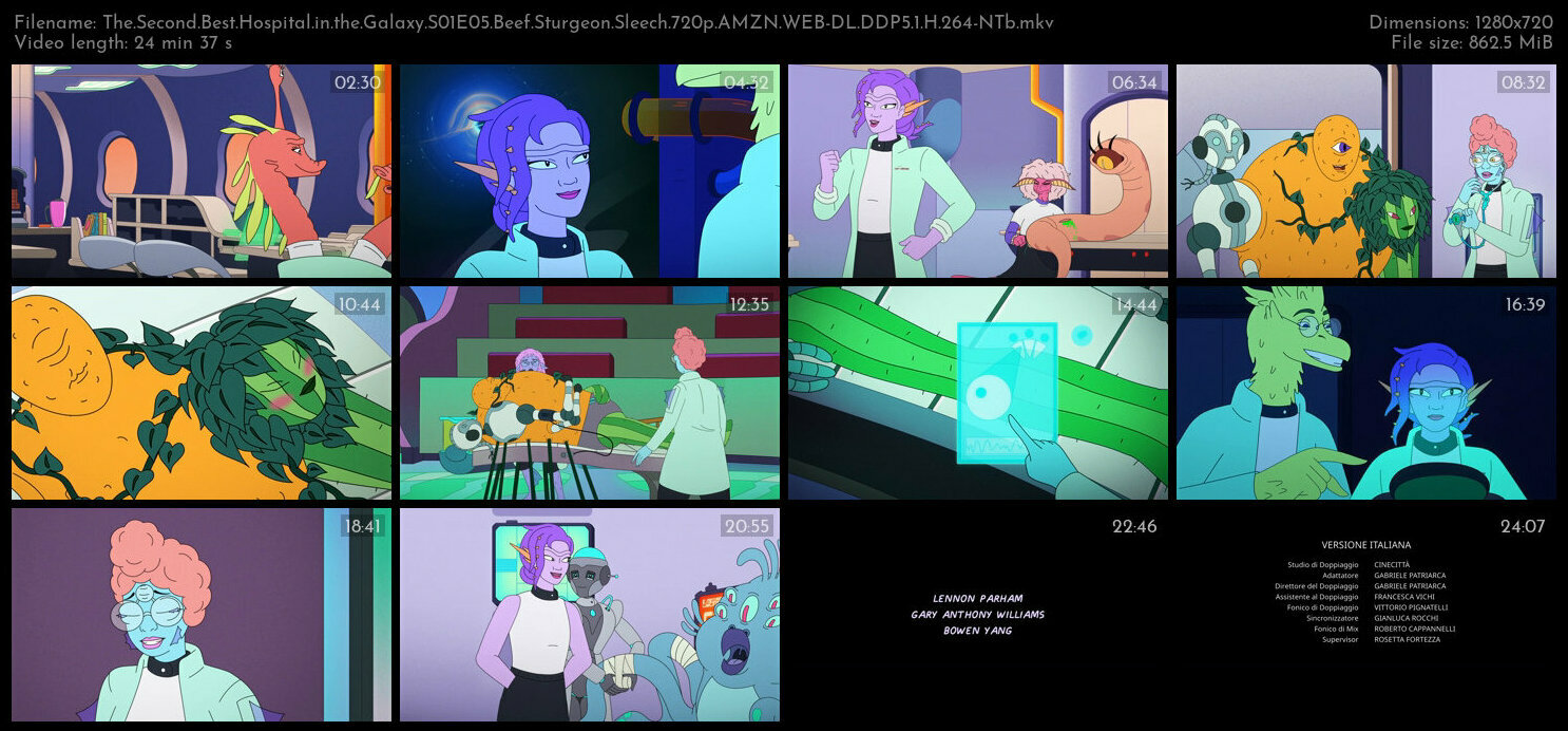 The Second Best Hospital in the Galaxy S01E05 Beef Sturgeon Sleech 720p AMZN WEB DL DDP5 1 H 264 NTb