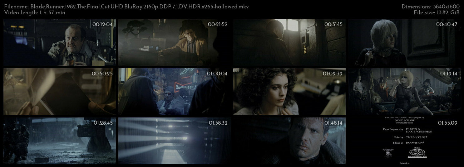 Blade Runner 1982 The Final Cut UHD BluRay 2160p DDP 7 1 DV HDR x265 hallowed TGx