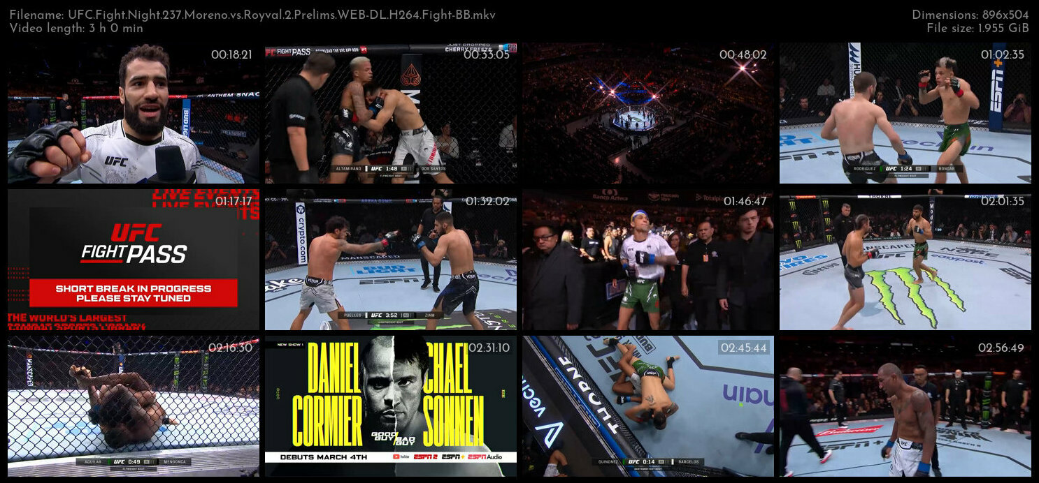 UFC Fight Night 237 Moreno vs Royval 2 Prelims WEB DL H264 Fight BB