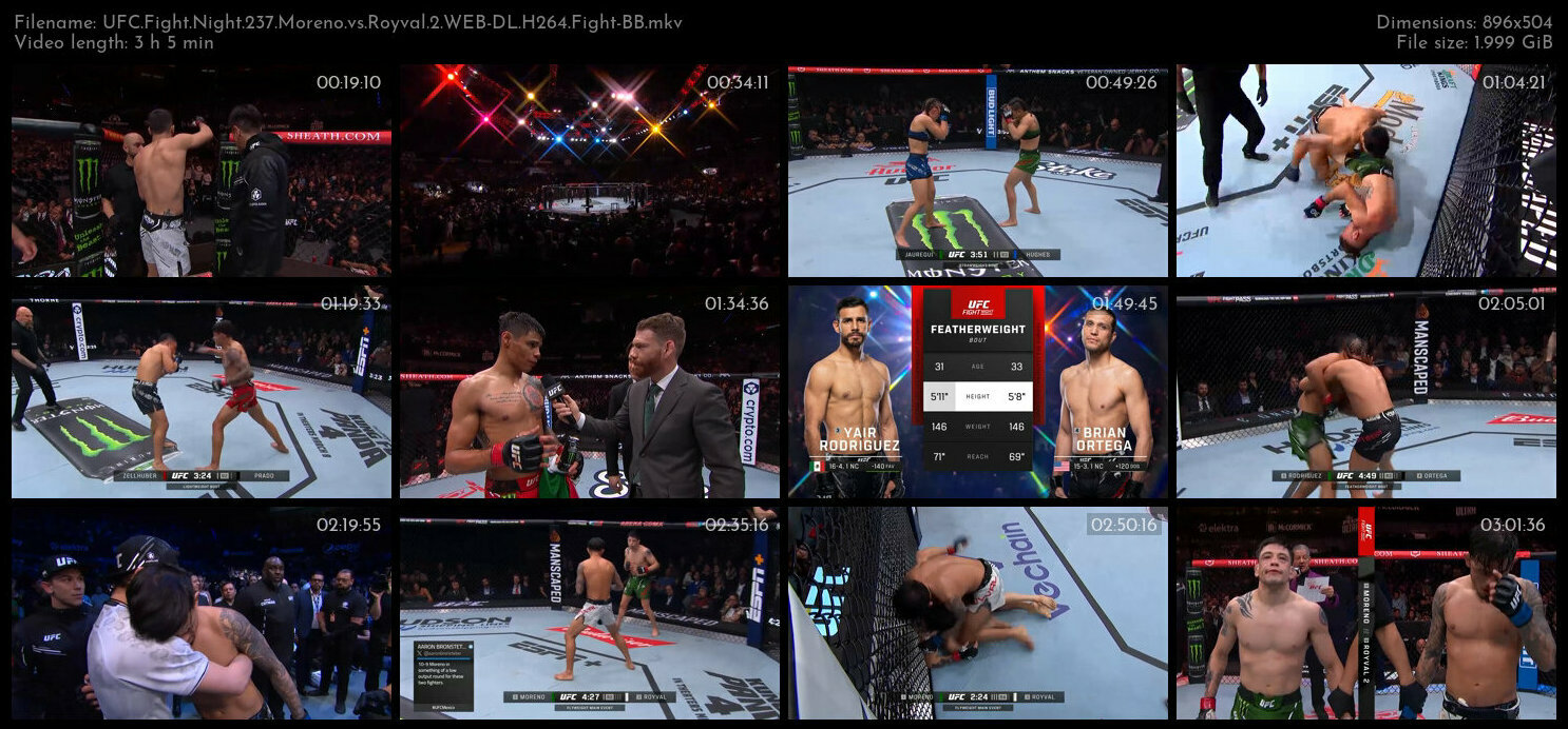 UFC Fight Night 237 Moreno vs Royval 2 WEB DL H264 Fight BB