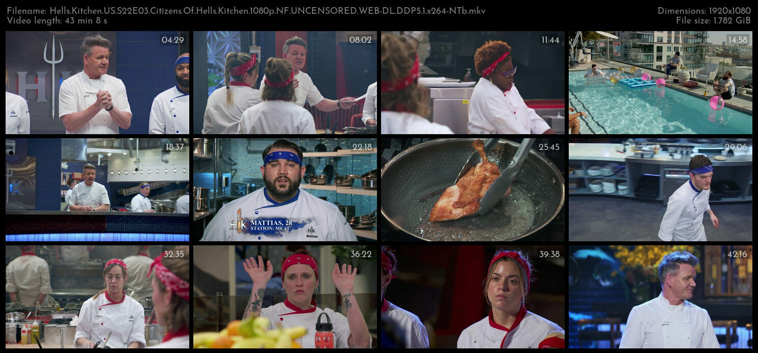 Hells Kitchen US S22E03 Citizens Of Hells Kitchen 1080p NF UNCENSORED WEB DL DDP5 1 x264 NTb TGx