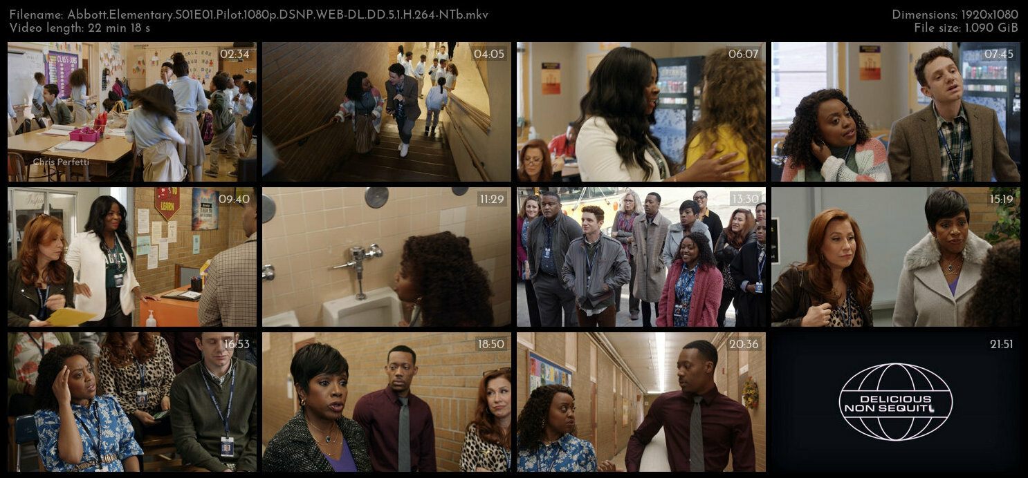 Abbott Elementary S01E01 Pilot 1080p DSNP WEB DL DD 5 1 H 264 NTb TGx