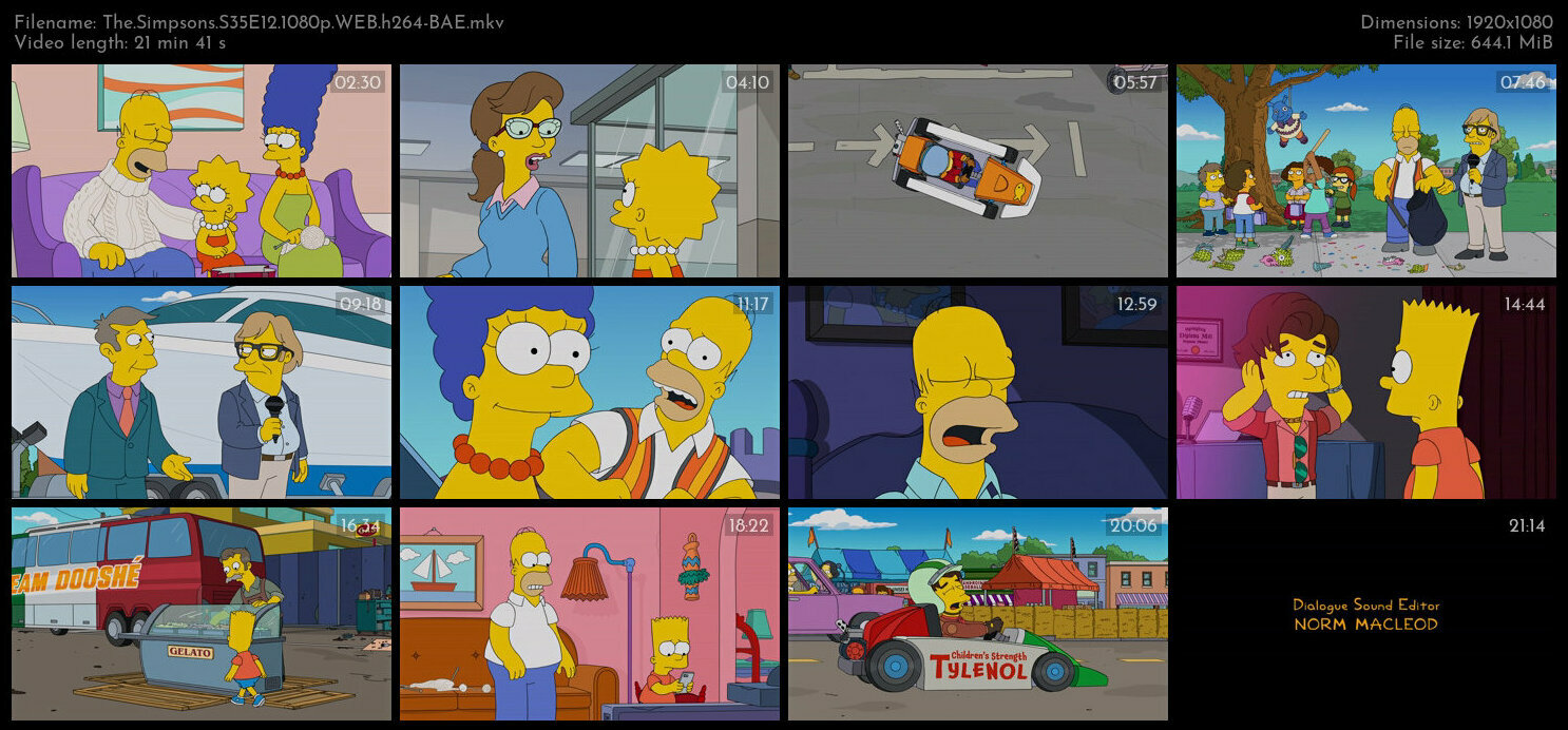 The Simpsons S35E12 1080p WEB h264 BAE TGx