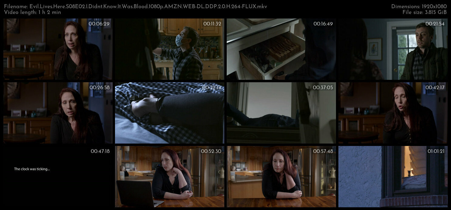 Evil Lives Here S08E02 I Didnt Know It Was Blood 1080p AMZN WEB DL DDP 2 0 H 264 FLUX TGx
