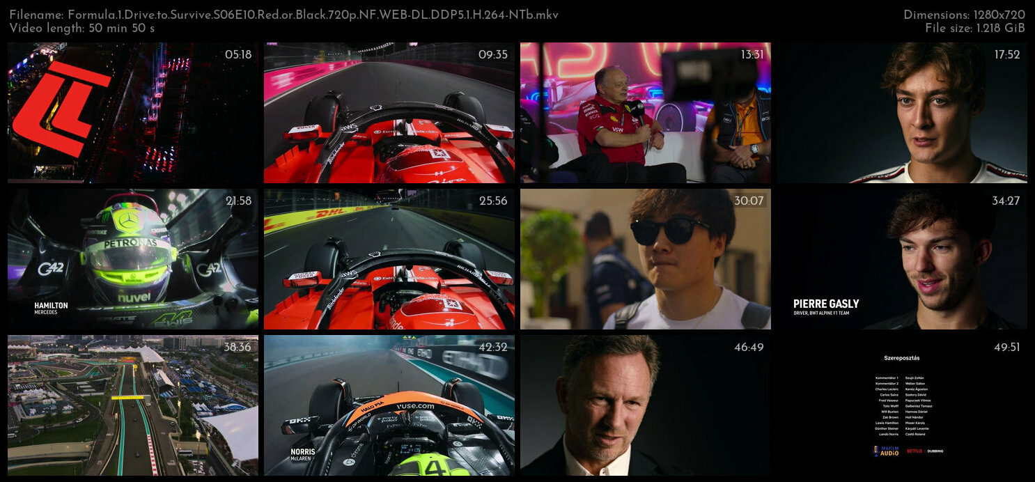 Formula 1 Drive to Survive S06E10 Red or Black 720p NF WEB DL DDP5 1 H 264 NTb TGx